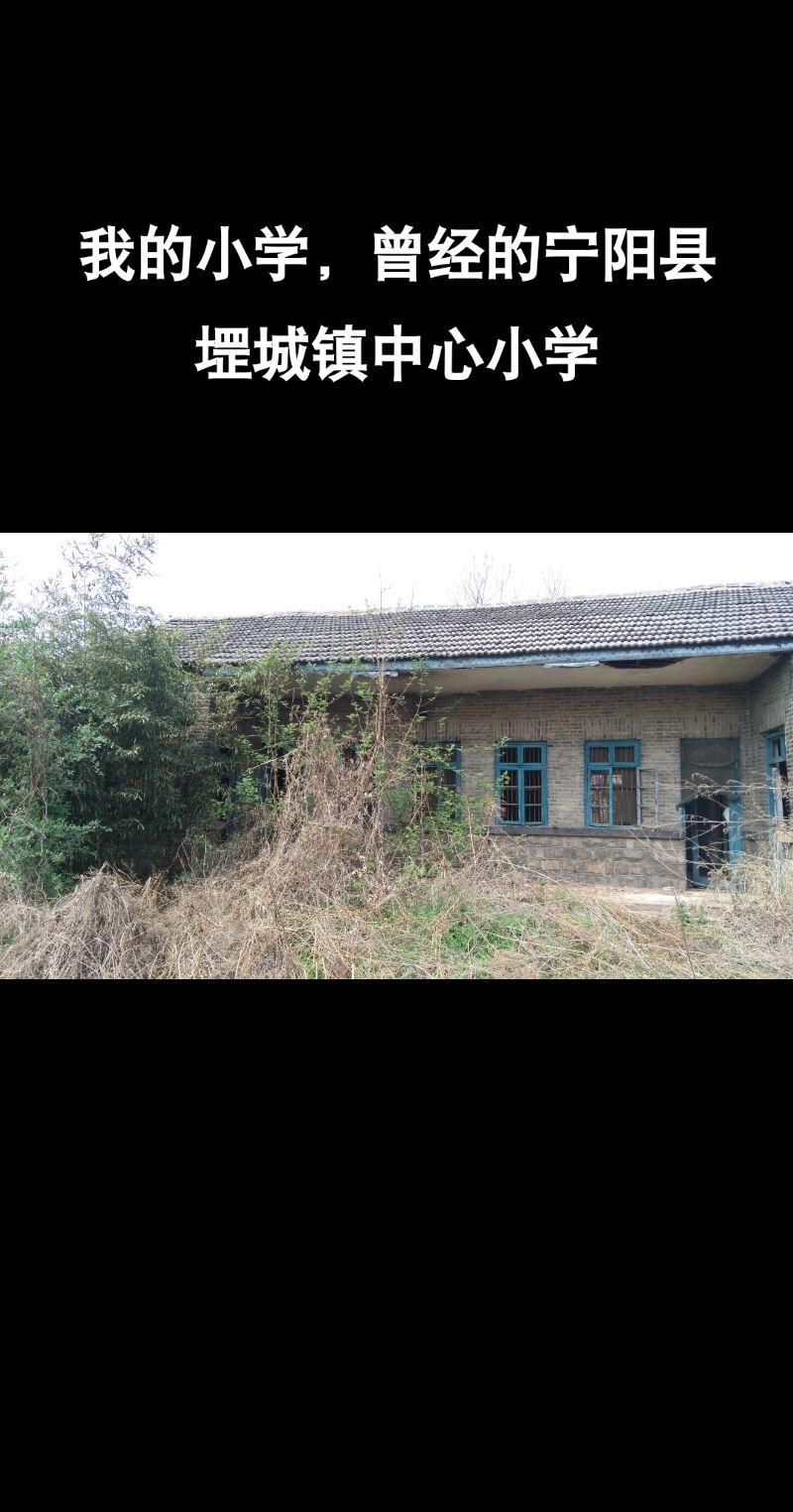 #老家#故乡#宁阳#历史#小学