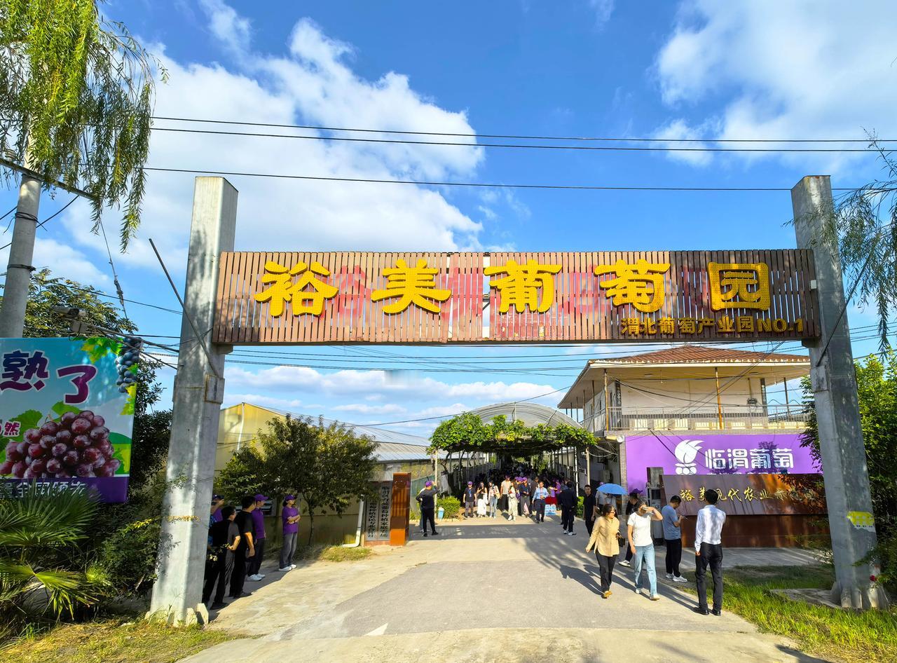 ▲陕西渭南裕美现代农业园区
 葡萄       渭南
       渭南裕美现代