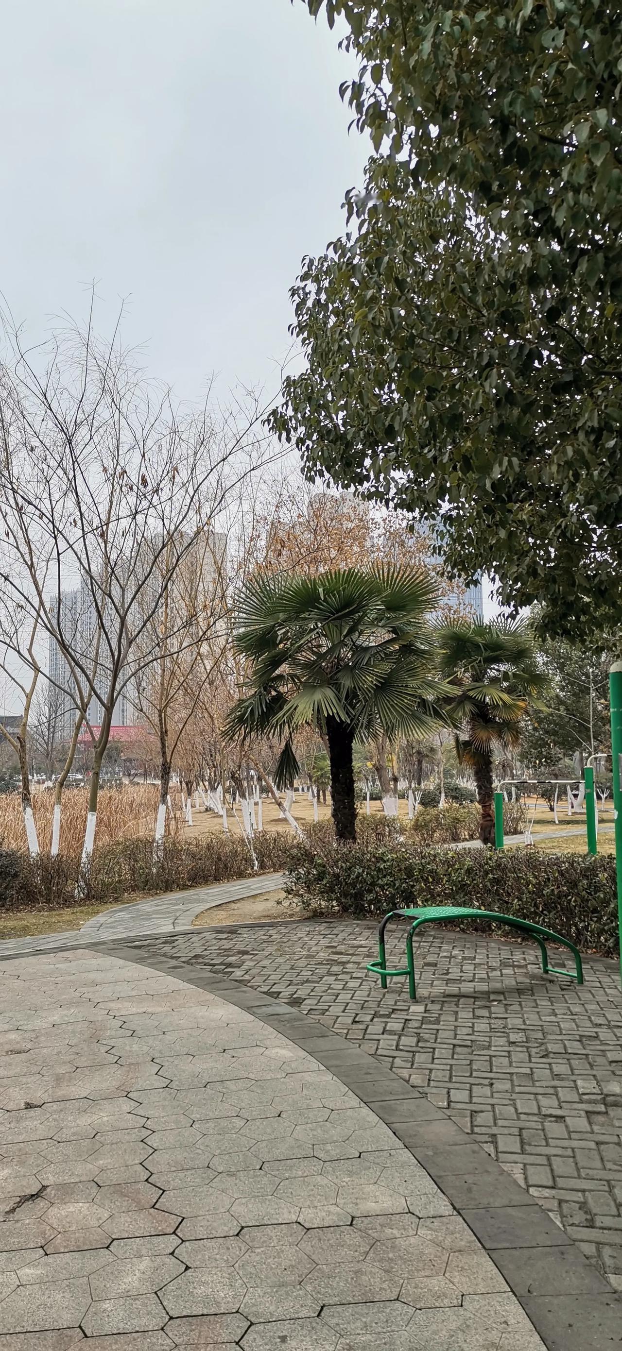 公园湖畔随手拍