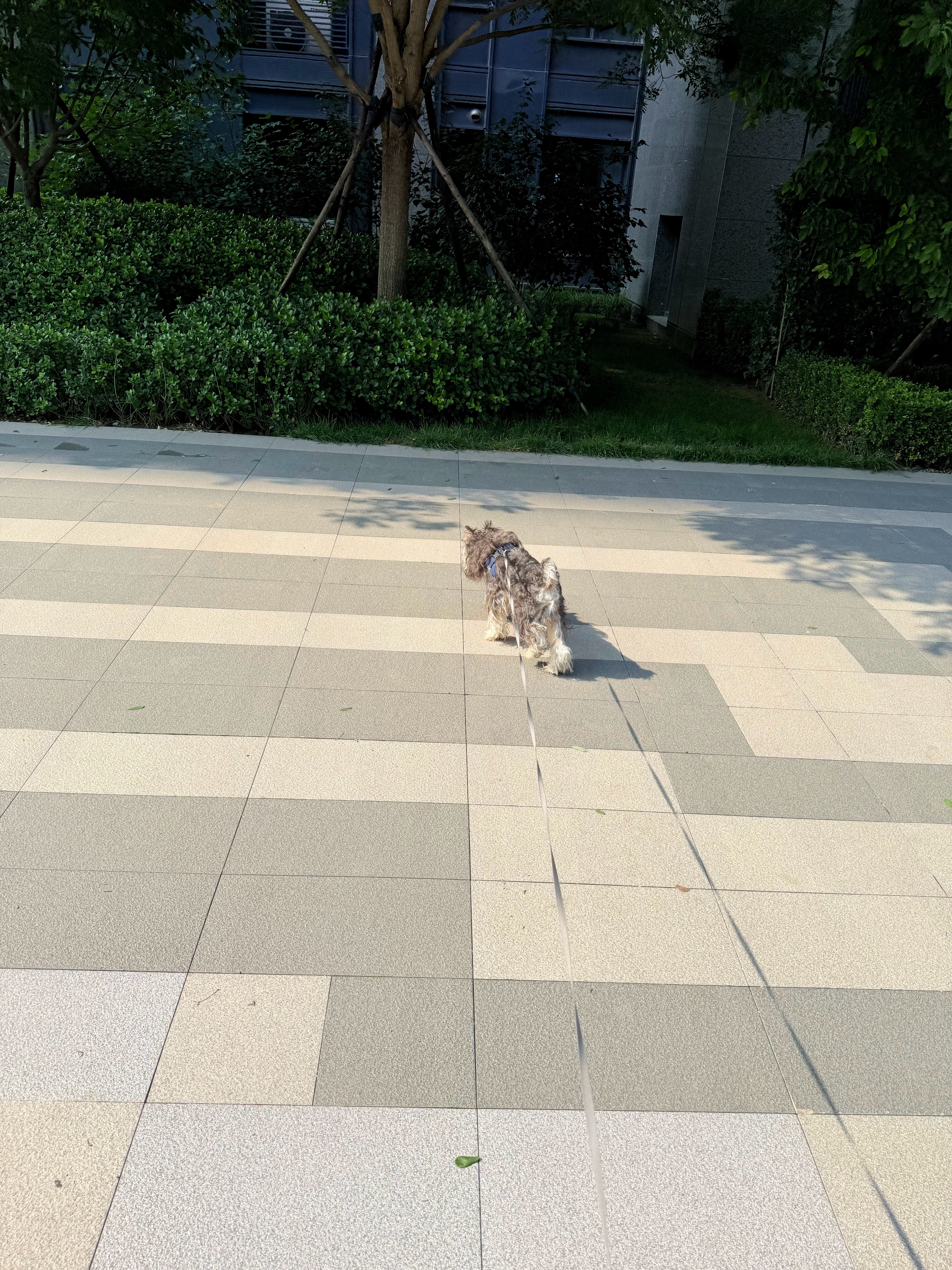 早呀早 