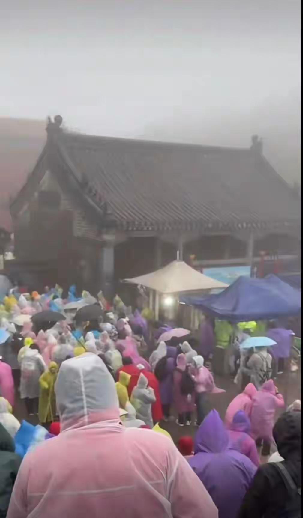 国庆爬泰山，竟在厕所里“团建”？这波操作真的又心酸又好笑！
 
10月1号夜里，