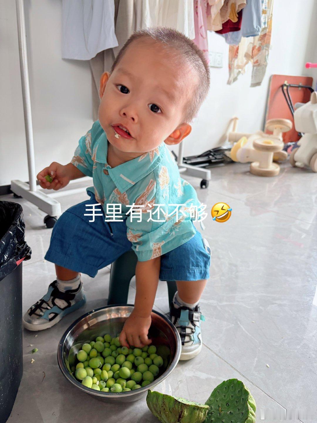 早餐吃完后，我就开始剥莲子了，准备中午用来煮粥，我一边剥娃一边吃剥了几个就收工了