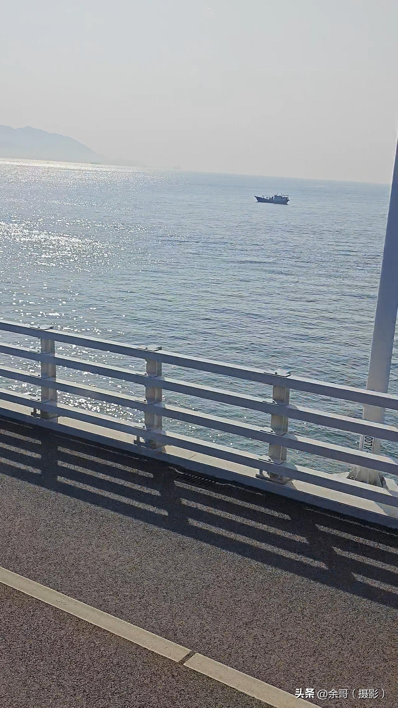 中国海域其实有鲨鱼分布，但大鲨鱼出现的地方不多。南海海域相对有可能看到大鲨鱼。南