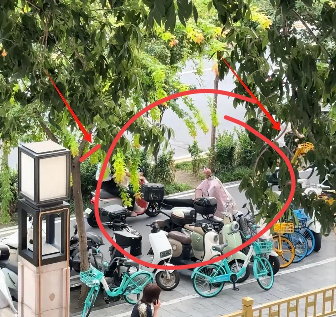北京街头再现“教科书式碰瓷”：中年男蛇形骑车挡路，母女想超车却被他故意往绿化带倒