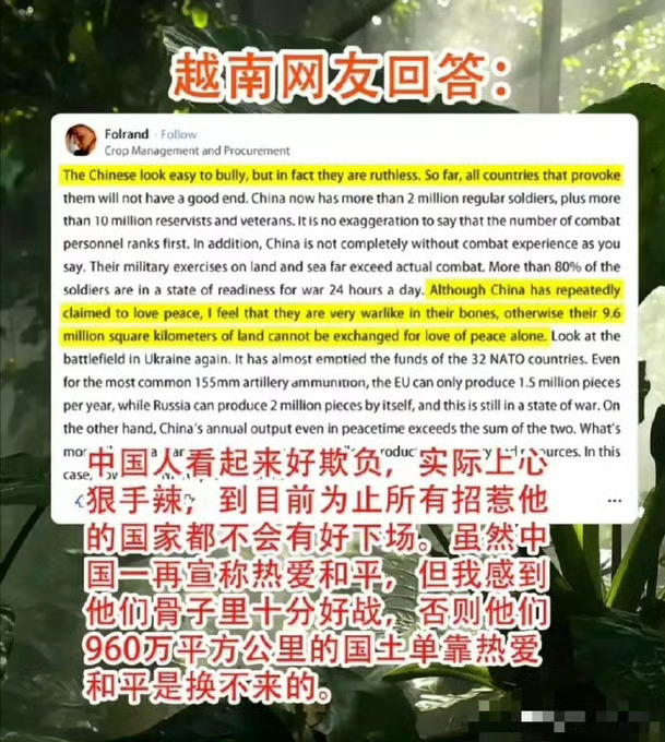 越南网友：经验总结，挨打换的[泪] 