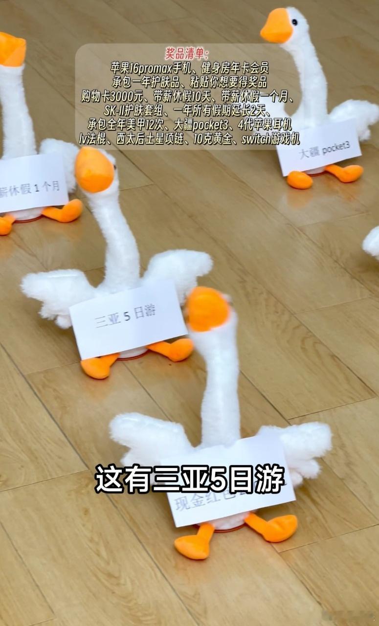 想来贾乃亮工作室上班   我的老板为什么不能够是贾乃亮呀？看到这一回给大家送包包