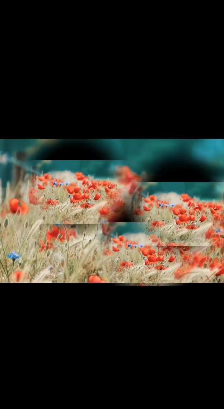 又要嫁了，第四次了吧…嫁一次发财一次。这好像是一种“职业”男同胞们请捂好钱袋子，