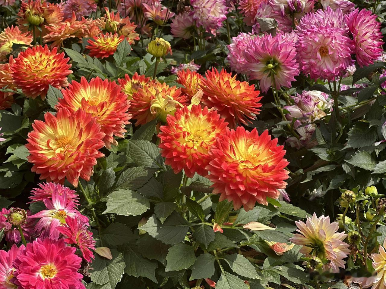 工资2400加五险一金
时间早上9点到11点半
下午1点半到4点半
大家猜这是什