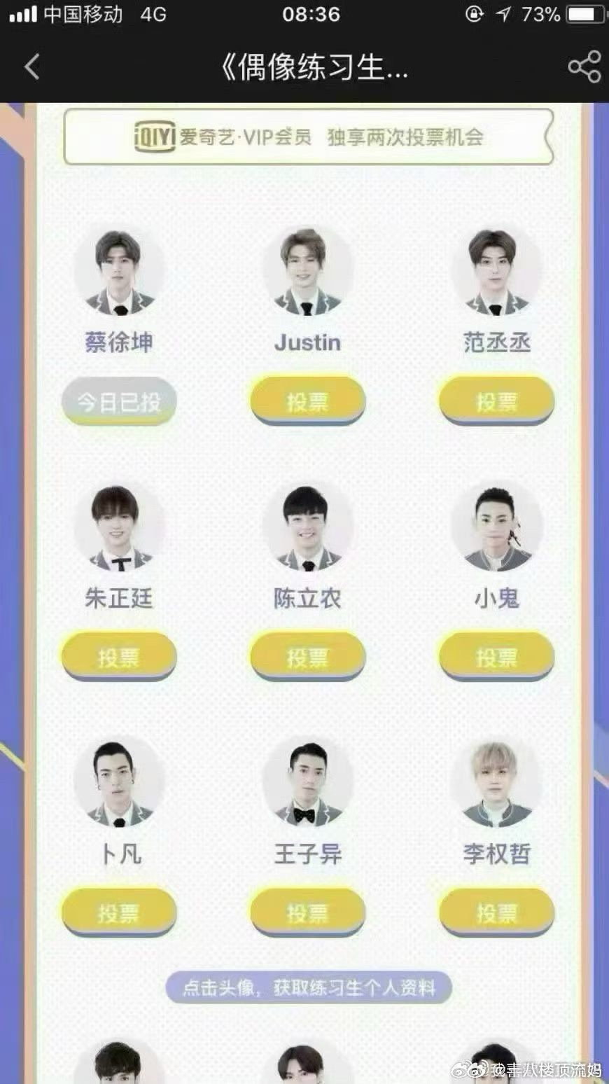 我投了你们随意 