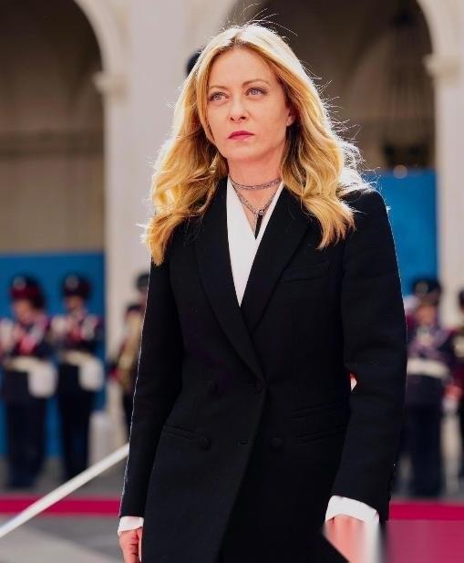 意大利总理梅洛尼发文说：“对于白宫记者晚宴发生的枪击事件，我向特朗普总统、第一夫