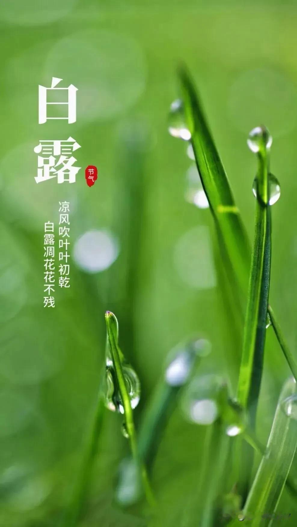 周末消息满天飞。有财政部注资金融央企的，有公司宣布大手笔回购的，有美股全线下跌，