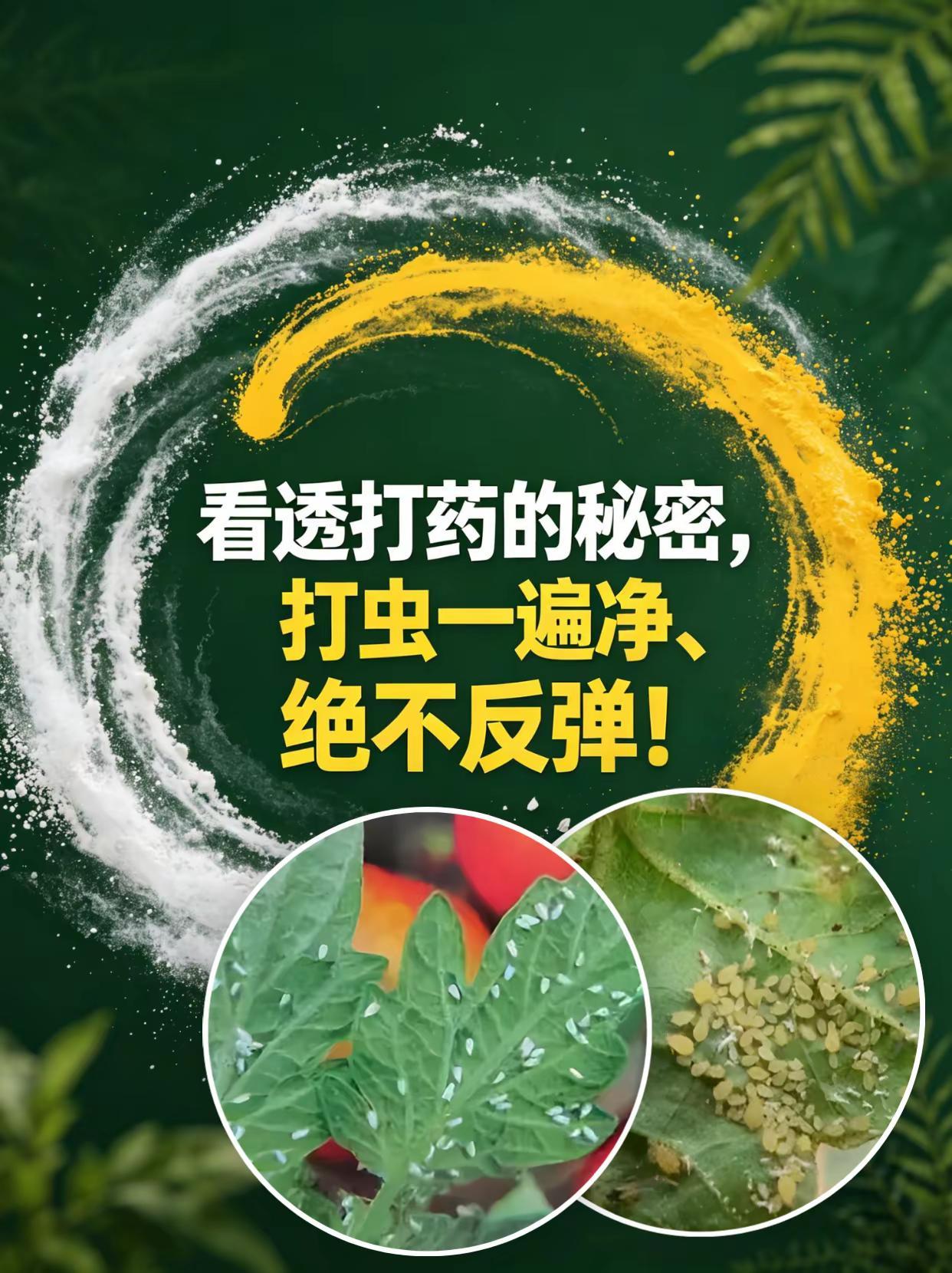 看透打药的秘密，打虫一遍净、绝不反弹！。