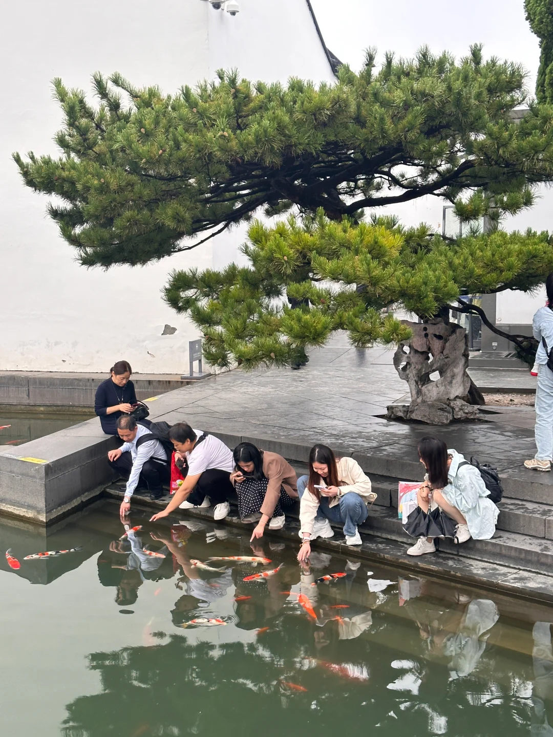 苏州博物馆新玩法：摸鱼🐟