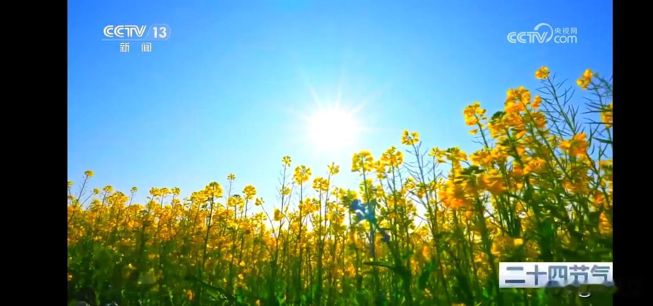 贪能误国，懒也误国。
懒官对国家民族造成的危害不比贪官小，通过高压严惩和完善制度