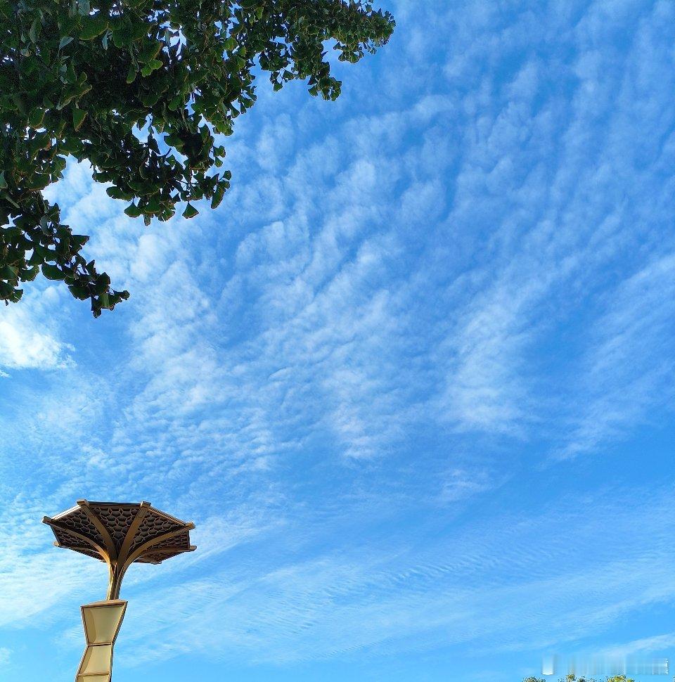 今天真的是秋高气爽呀，天空看上去确实比之前更好啦，天气也没有前阵那么闷热，要好好