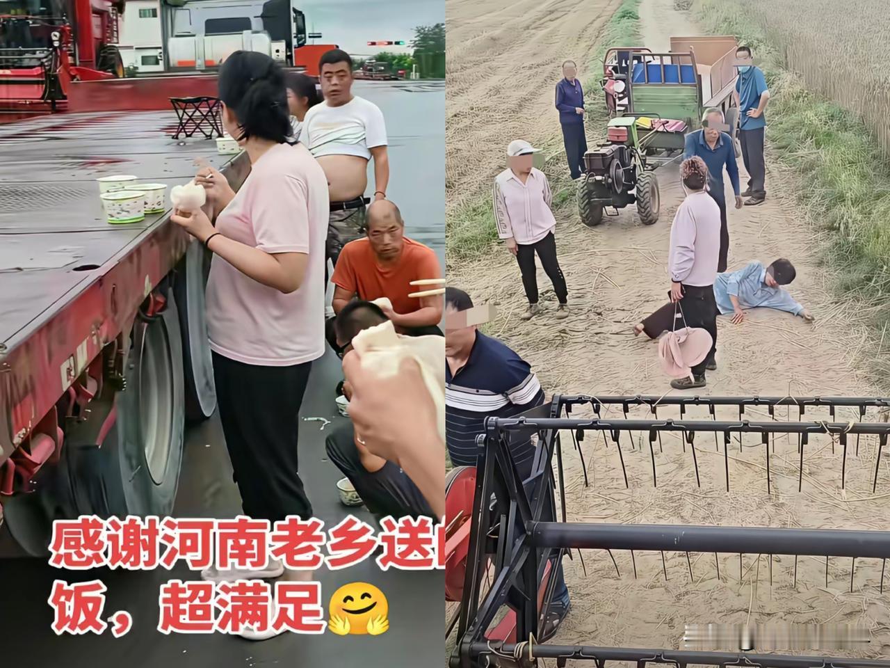 今年这么搞一出，明年没人去收割
湖北出现“割四赔五”的闹剧
虽然只是个例，但影响