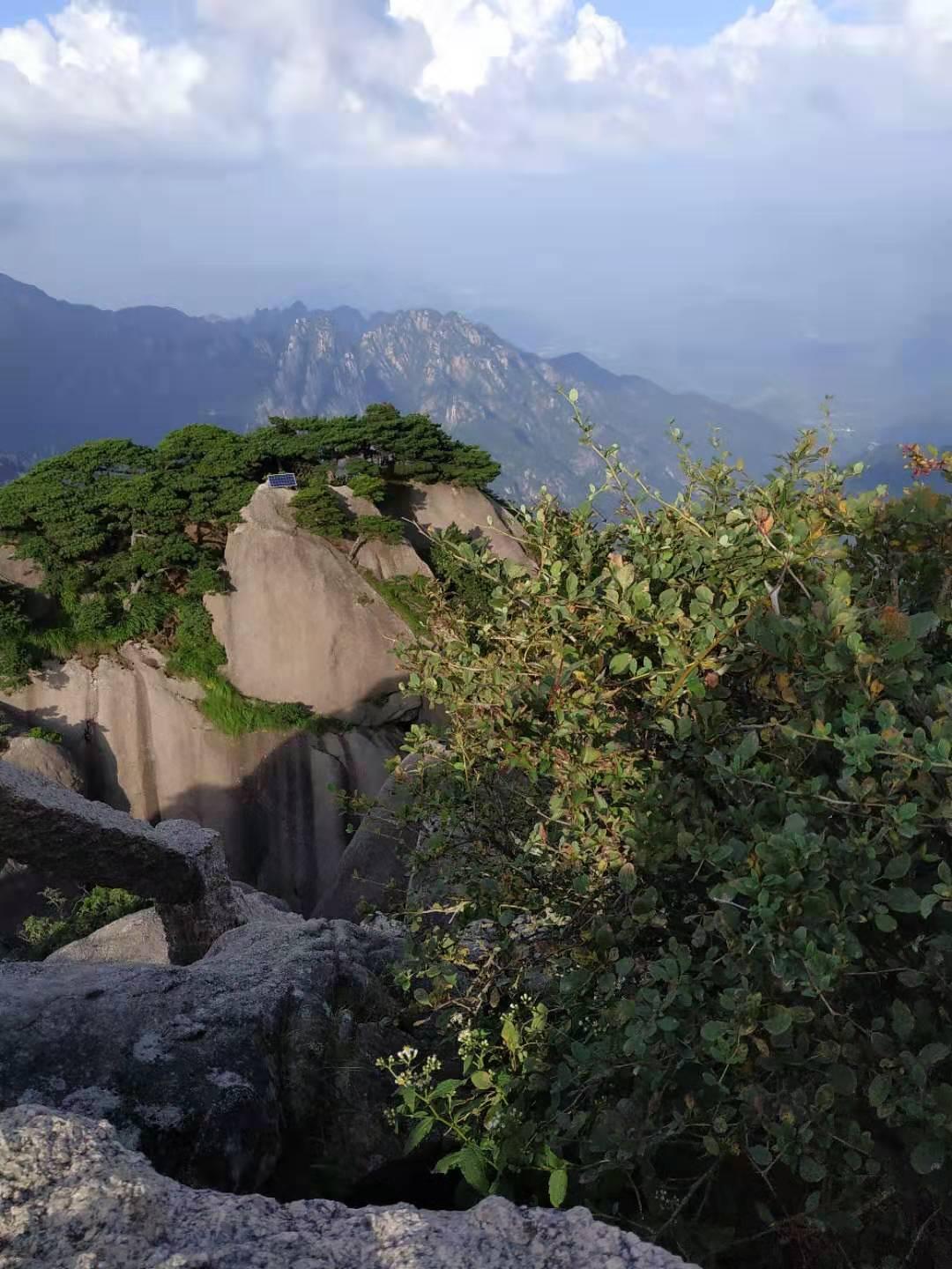 缕缕香风万种情