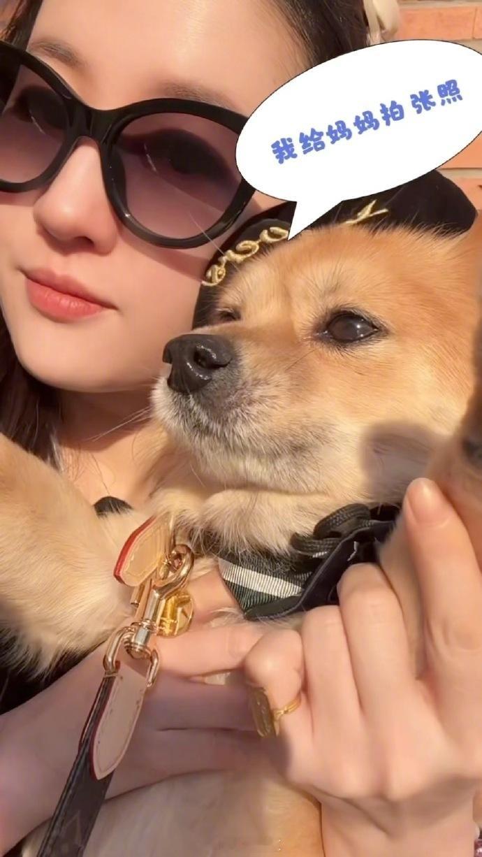刘亦菲圣诞节live图    刘亦菲圣诞晒狗 照片里她和小狗出去玩，小狗那活泼可