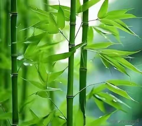 职场的硬通货：你的价值，是永不打烊的“护身符”

今儿咱们单说一桩发生在熙熙攘攘