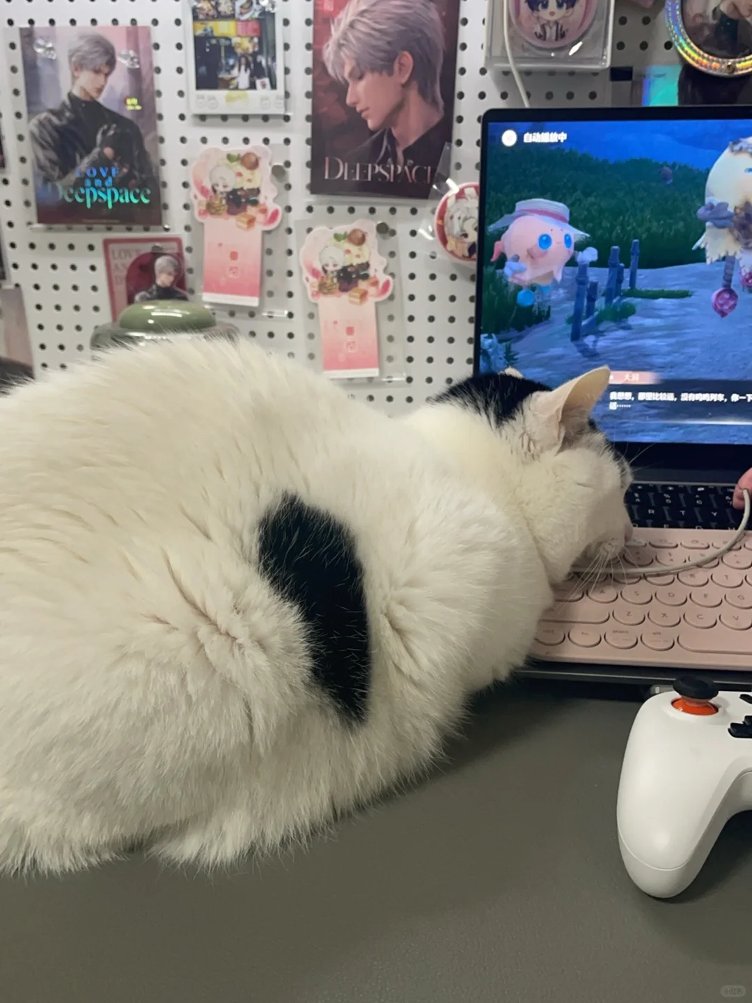 无手喵喵*诚信代打无限暖暖