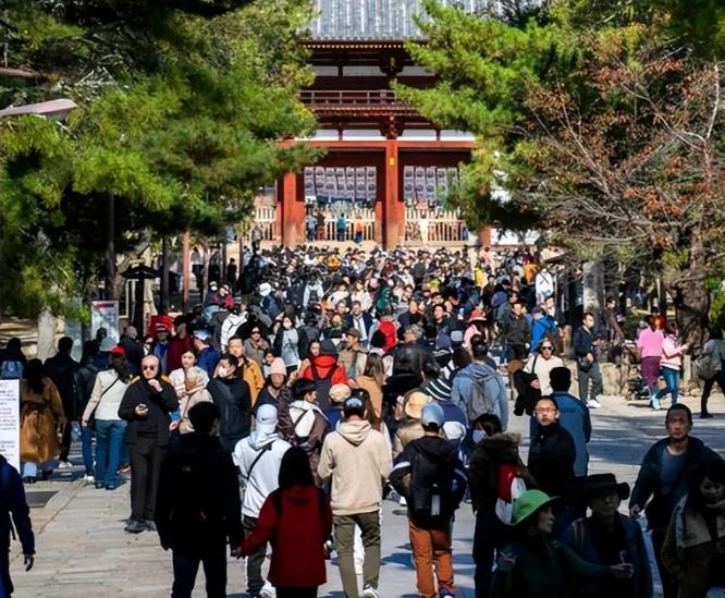 报应终于来了！殴打中国游客、设限禁止中国人入境、明目张胆歧视中国游客，这种事以前
