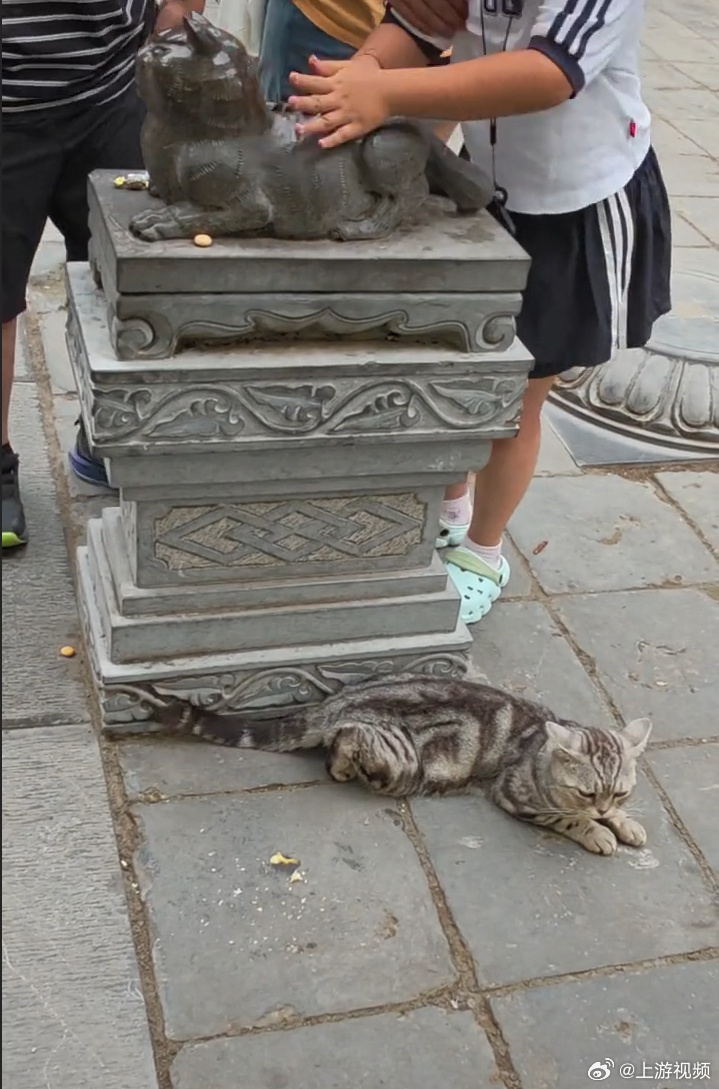 #景区猫猫石像被摸到发亮#【西安一景点猫石像被游客摸到发亮，景区回应“石像历史悠