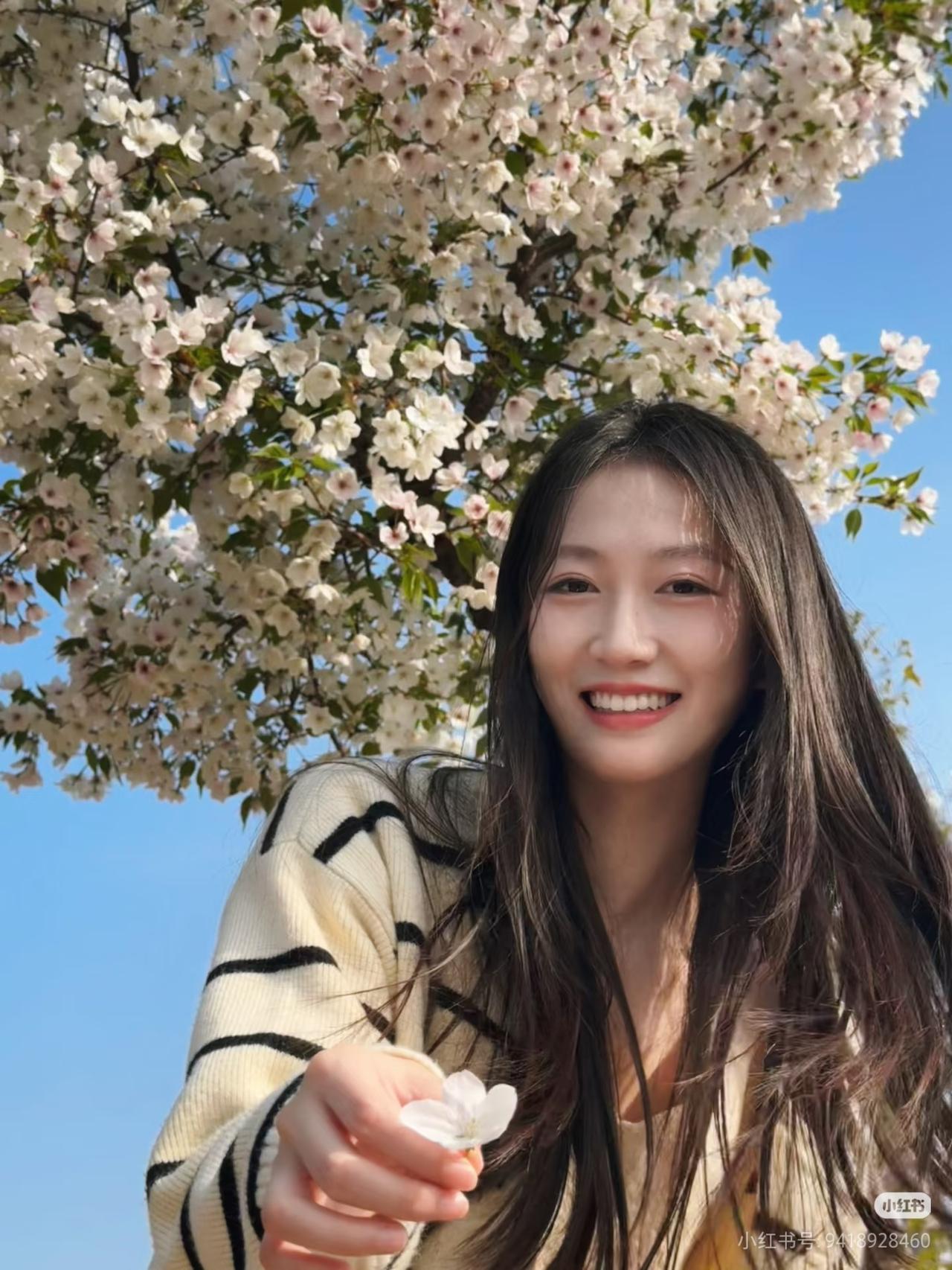 花开花落，岁月静好。