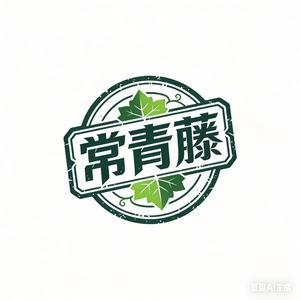 常青藤数码