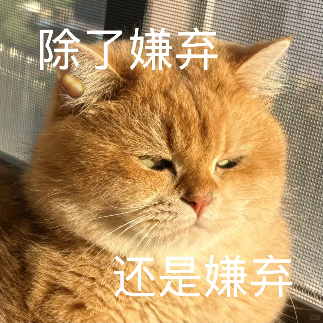 贵州通天河伴漂 擦边  看完真的有点懵，现在干啥都要和擦边挂钩了吗？有些地方为了