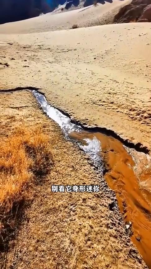 全世界最小的河流，全长仅有30米。
这是全世界最小的河流，全长只有30米，它就是