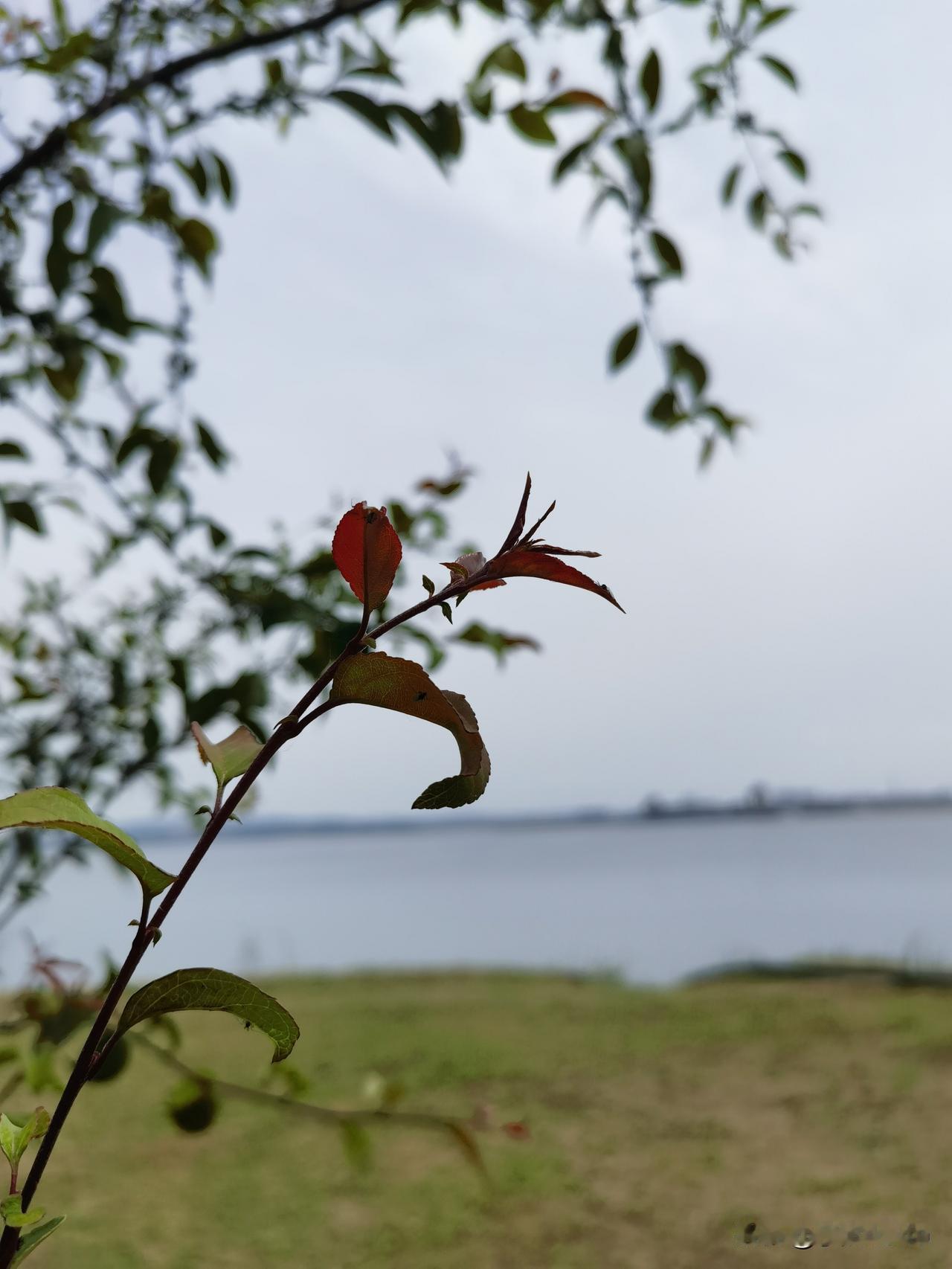 于人渺渺，自修不息

​ 杨绛先生曾言：“人虽然渺小，人生虽然短促，但是人能学，