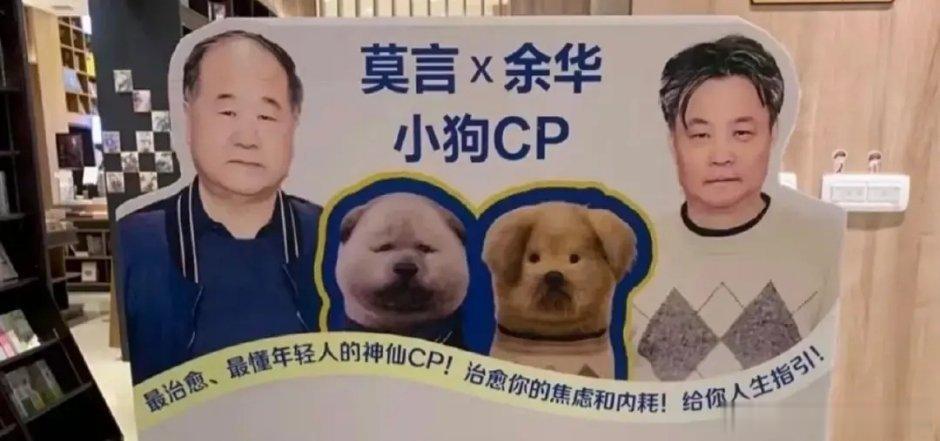 太可爱了