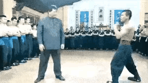 高手向来以静制动，功夫修炼到这般境界，大抵是以不变应万变。那些如猴子般上蹿下跳之