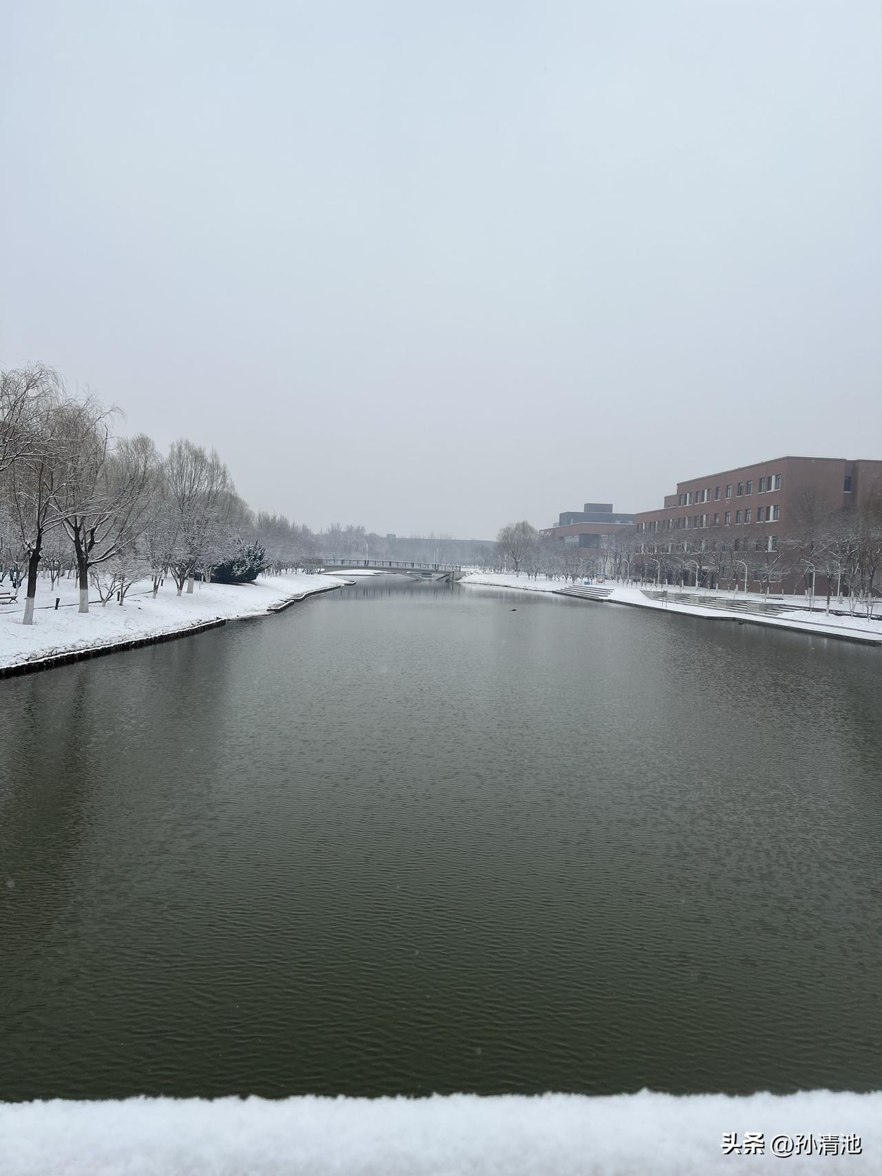昨天早上天津大学北洋园校区的雪景