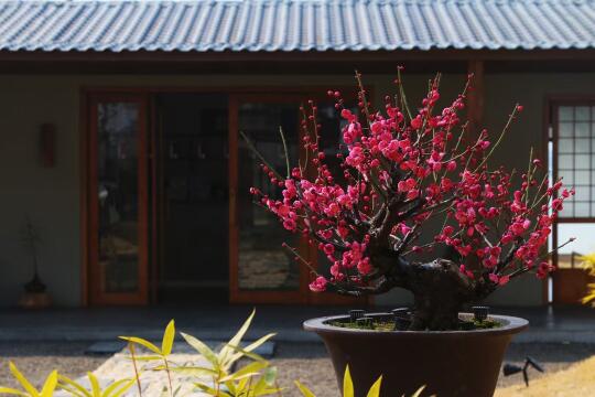 隔着屏幕都能闻到香味