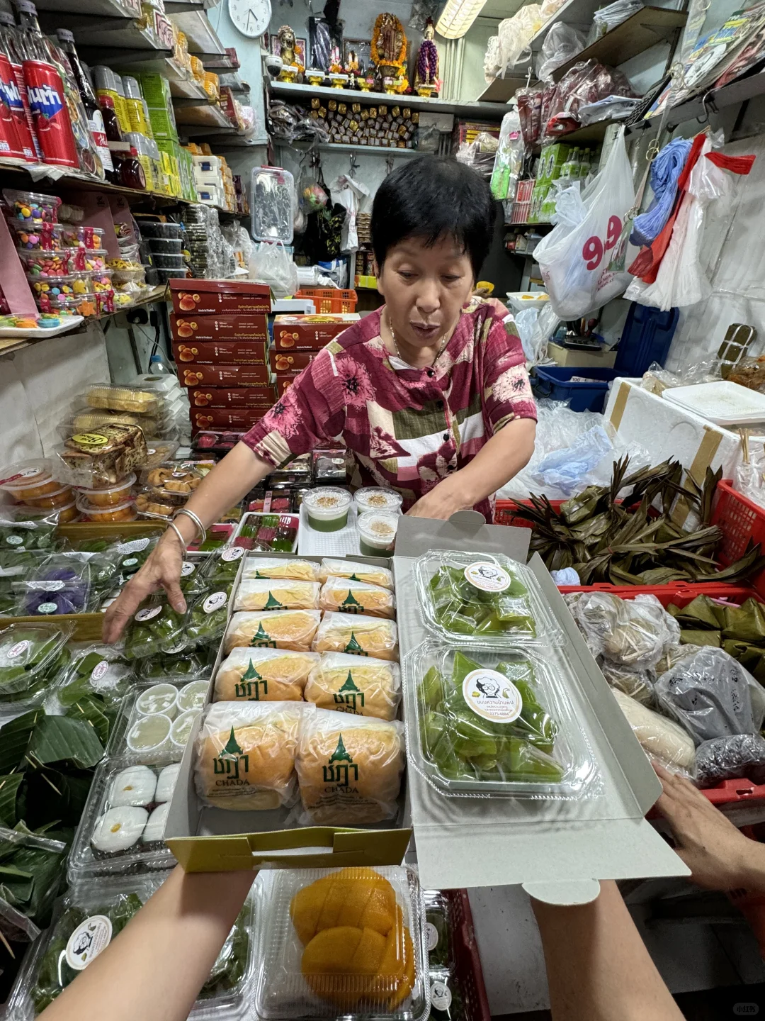 🇭🇰香港記住逆个姨姨！！！