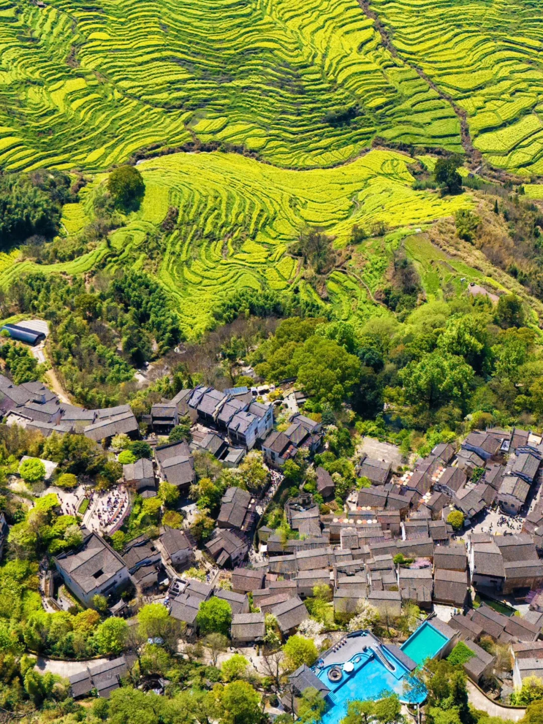 《国家地理》评为中国最美乡村，篁岭春天绝了