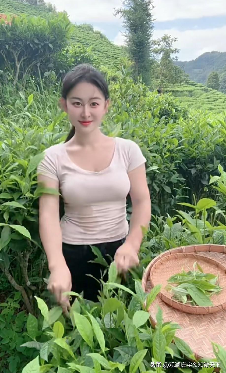 这是啥？茶叶吗？