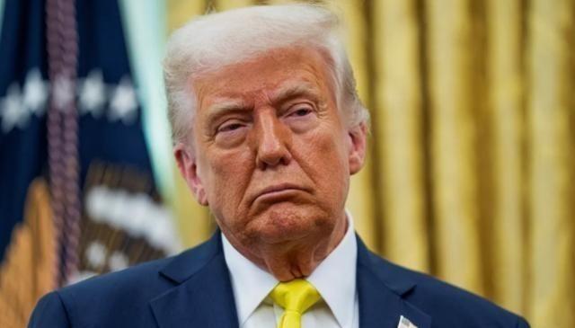 一位日本华人表示 “高端轴承、精密仪器、传感器、机器人减速器、碳纤维、光刻胶以及