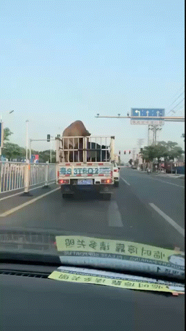 畜生啊，光天化日之下竟做出如此伤风败俗之事！