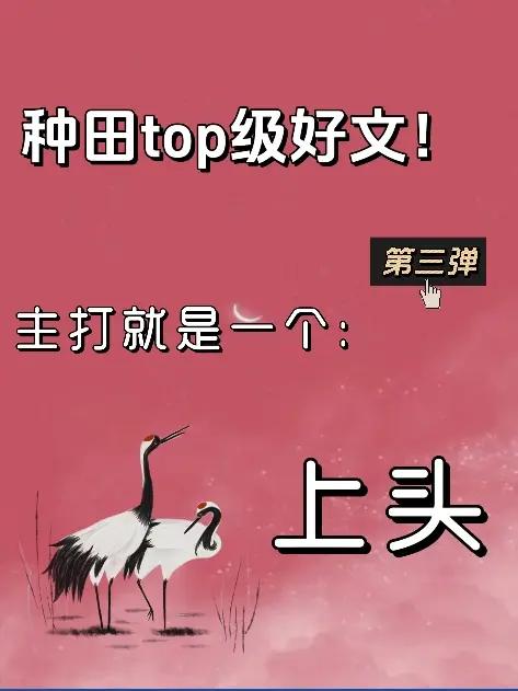 小说 文荒推荐 种田