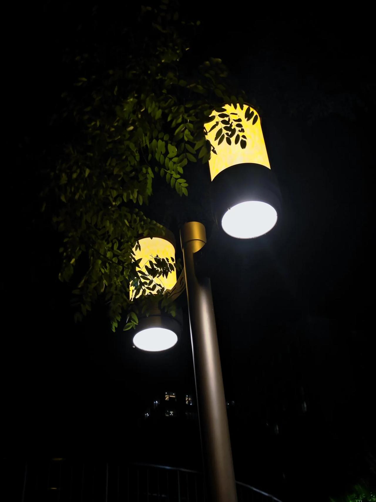 去时风雨千般夜，今时随风万缕思。
登高清寂凭栏立，空余圣主虚前席！