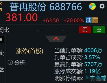 普冉股份20cm 