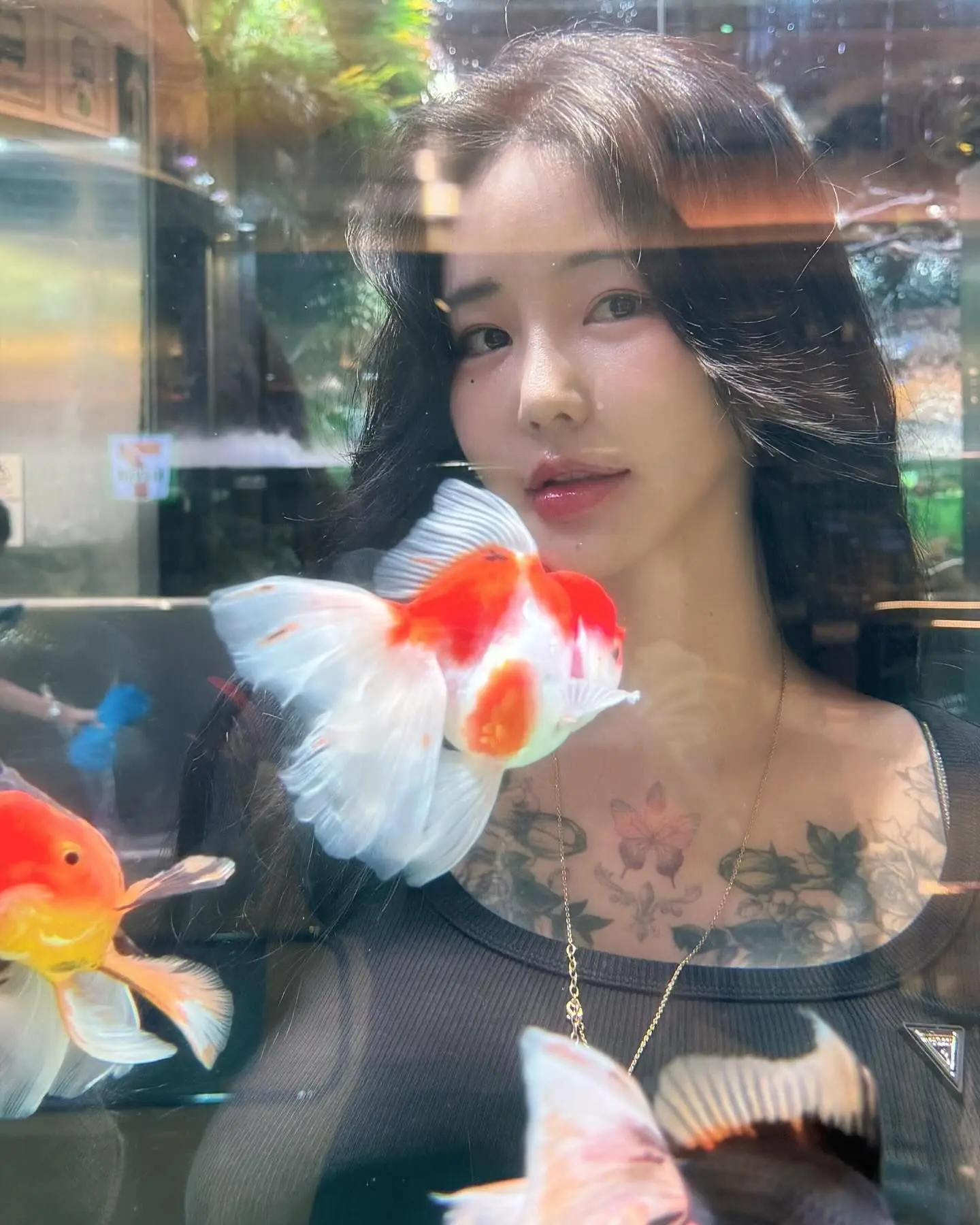 运气交给锦鲤 见锦鲤者发发发 好贵气的鲤鱼 好运锦鲤 有一种花叫彼岸花