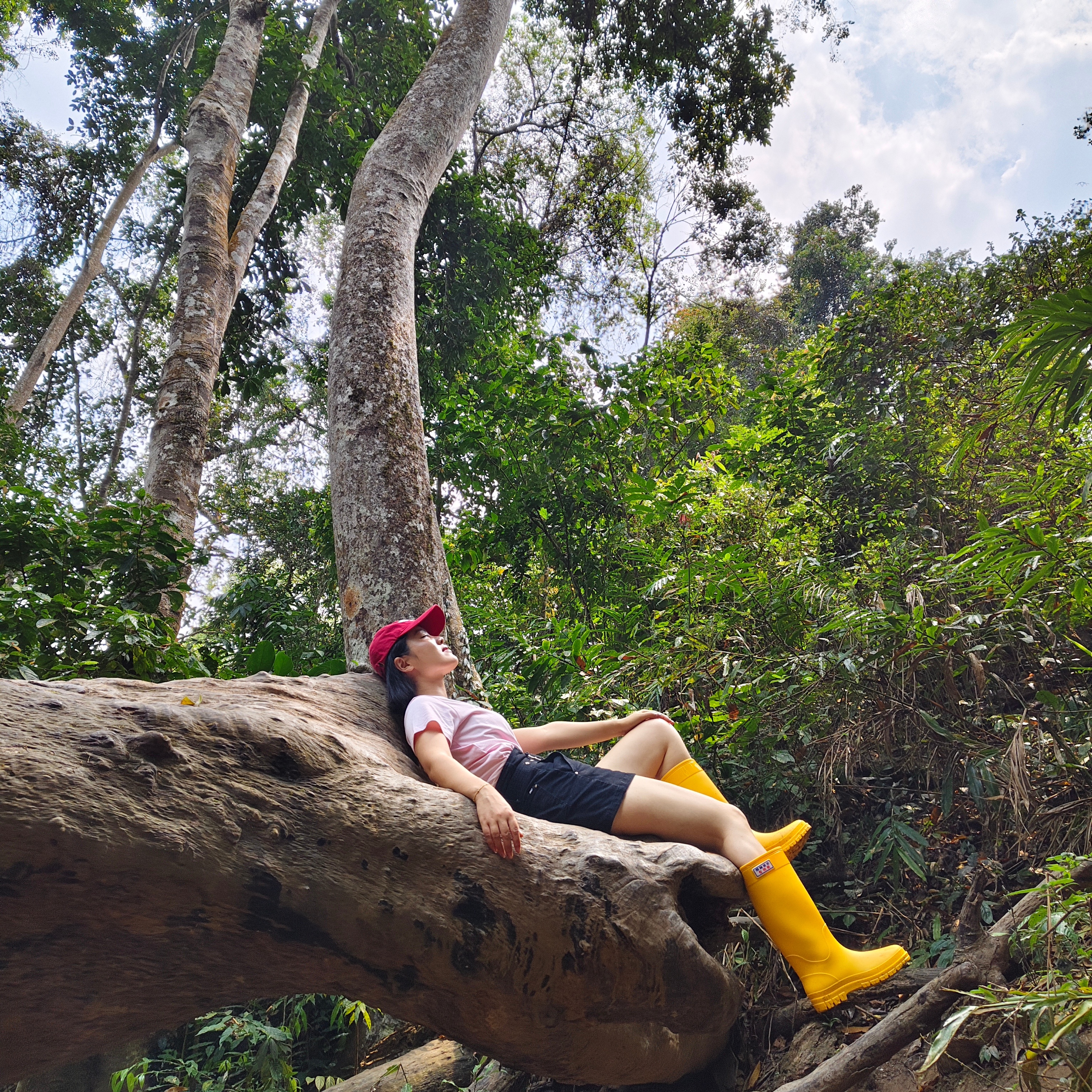 Eva特种兵之兵王行程4个小时从北京飞到西双版纳4个小时基诺山雨林徒步4个小时从