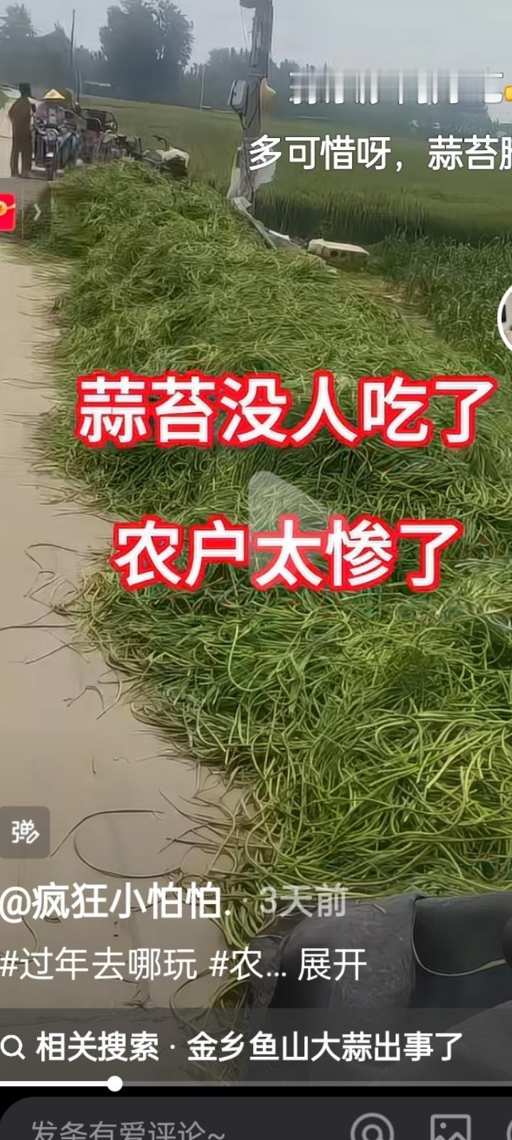 蒜苔又惹着谁了？昨天去大集上转了一圈，看到新蒜苔上市了，问了一下价格，不值一块，