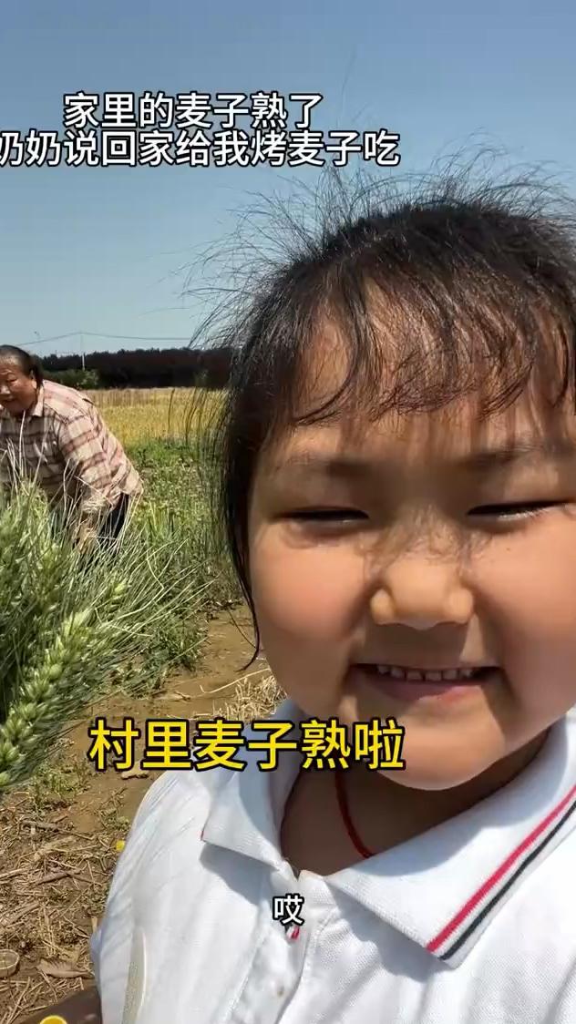 家里的麦子熟了，奶奶说回家给我烤麦子吃。
村里麦子熟啦，奶奶可光。