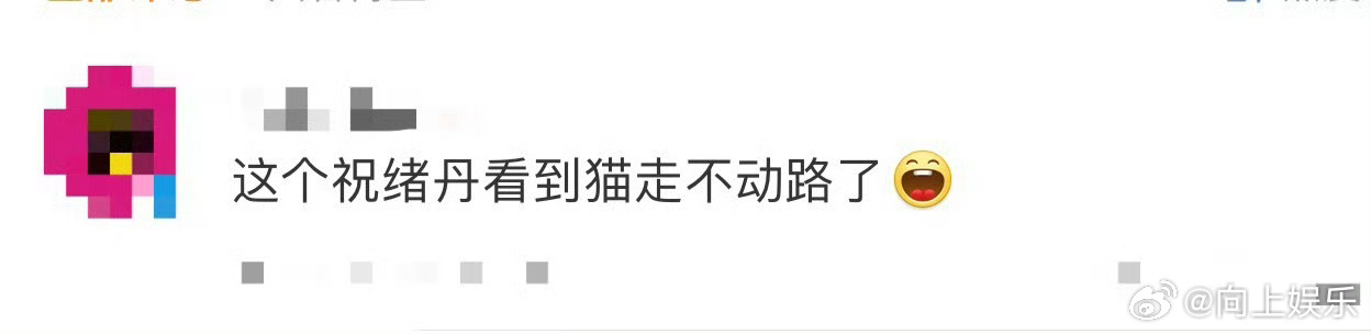 祝绪丹看到猫走不动路了 乘风节目里祝绪丹的“吸猫三连问”逗笑！“它叫什么名字？”
