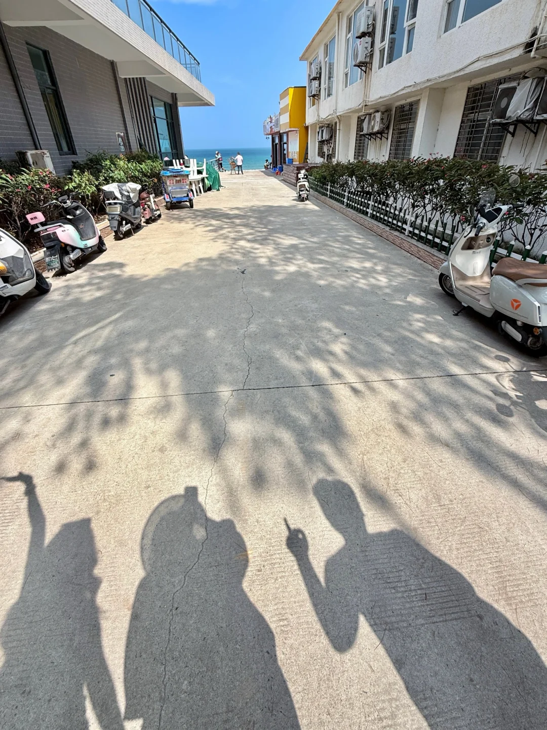 一起来旅游呀🏖️