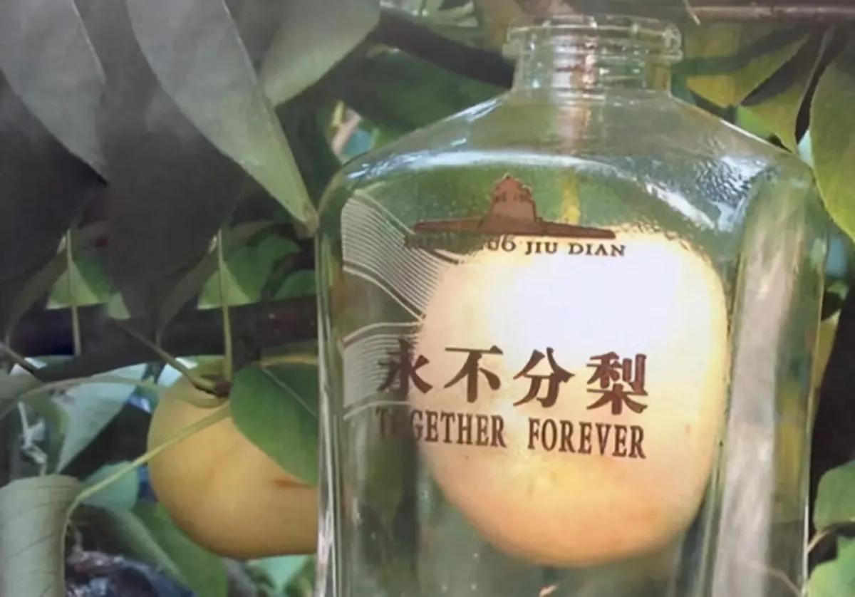 很好奇，这个梨子会是什么味道呢？
创意简直妙不可言！确实构思巧妙，创意非凡！五粮